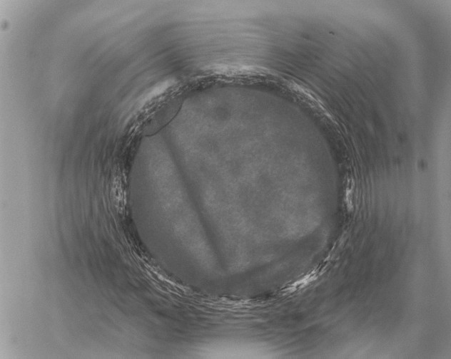 X0000059100966200510211628