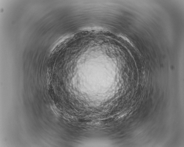 X0000059100967200510211628