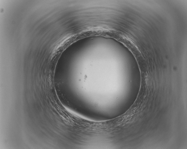 X0000059100968200510211628