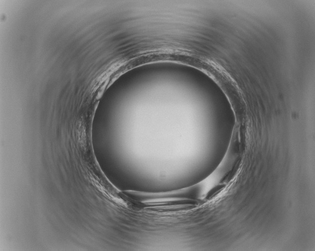 X0000059100969200510211628