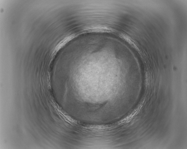 X0000059100970200510211628