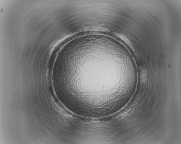 X0000059100971200510211628