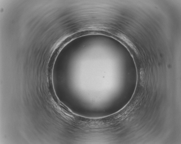 X0000059100972200510211628