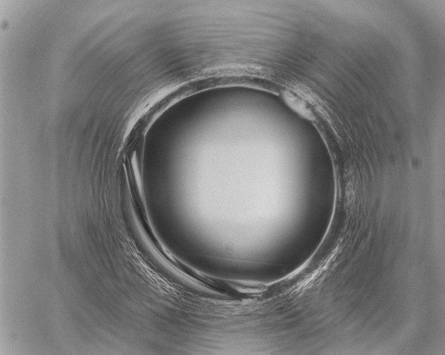 X0000059100973200510211628