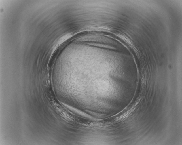 X0000059100974200510211628