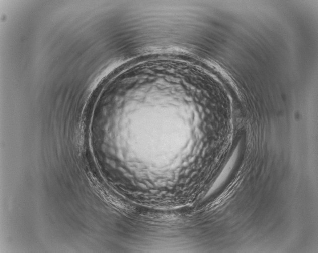 X0000059100975200510211628