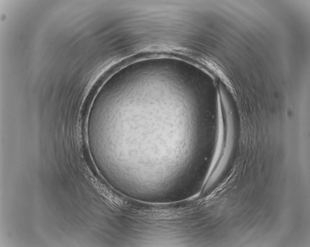 X0000059100976200510211628