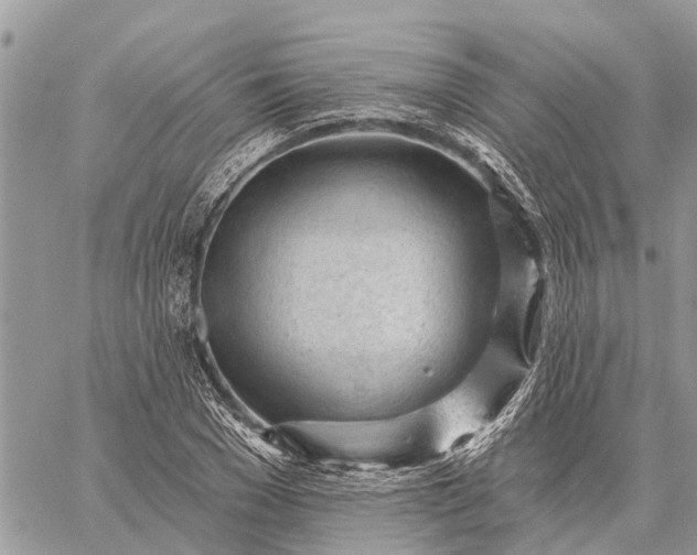 X0000059100977200510211628