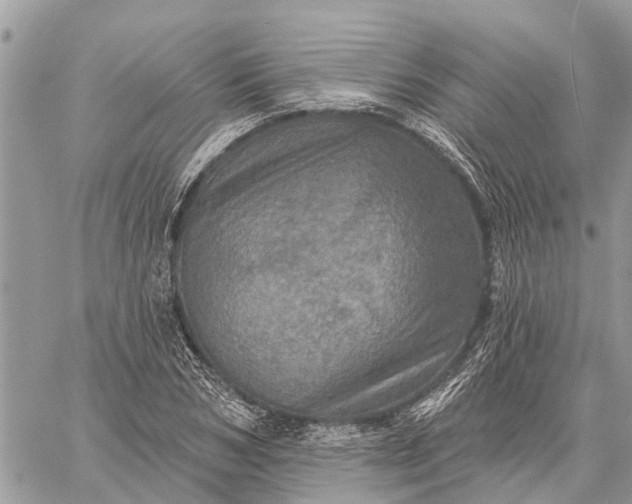 X0000059100978200510211628