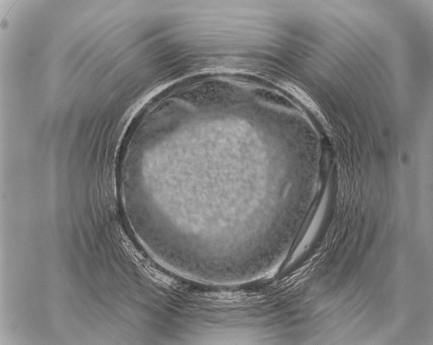 X0000059100980200510211628