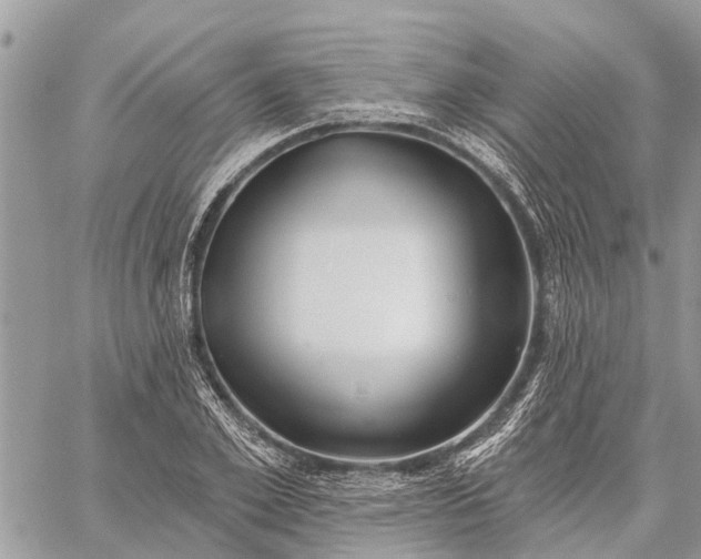 X0000059100981200510211628