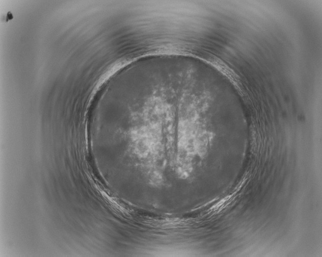 X0000059100982200510211628