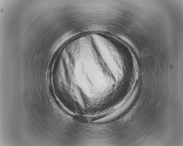 X0000059100983200510211628