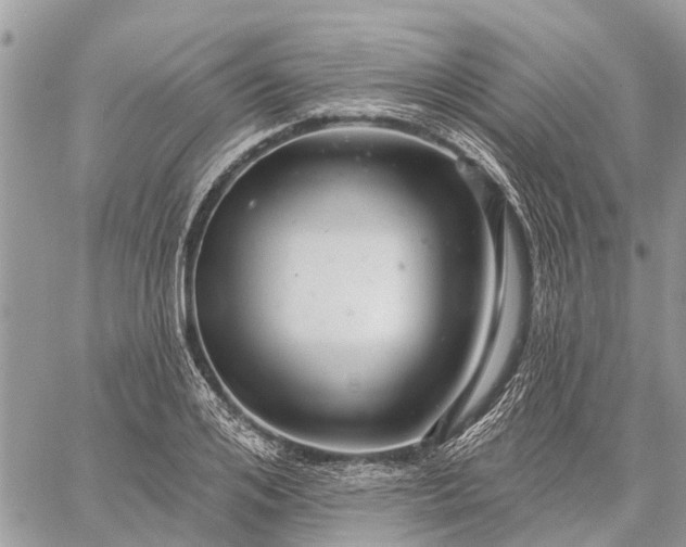 X0000059100984200510211628