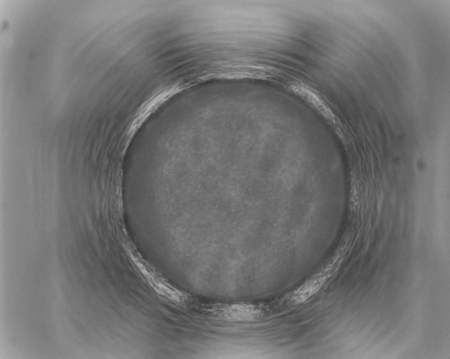 X0000059100986200510211628