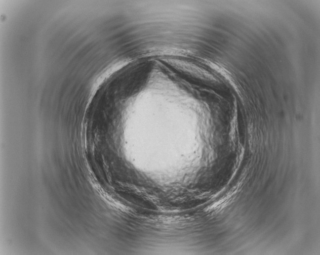 X0000059100987200510211628