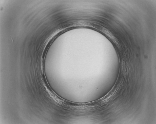 X0000059100988200510211628