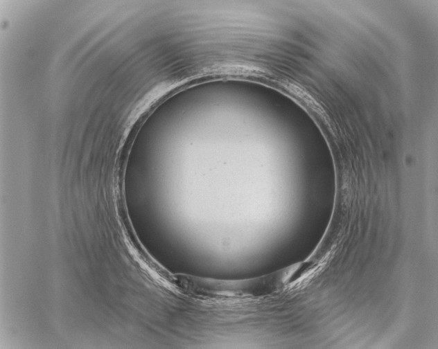 X0000059100989200510211628