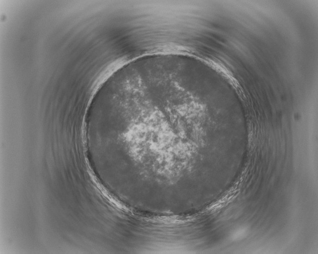 X0000059100990200510211628