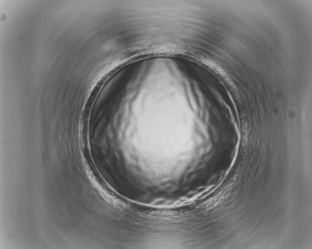 X0000059100991200510211628