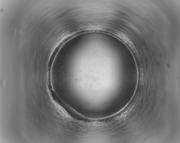 X0000059100992200510211628