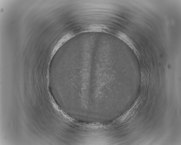 X0000059100994200510211628