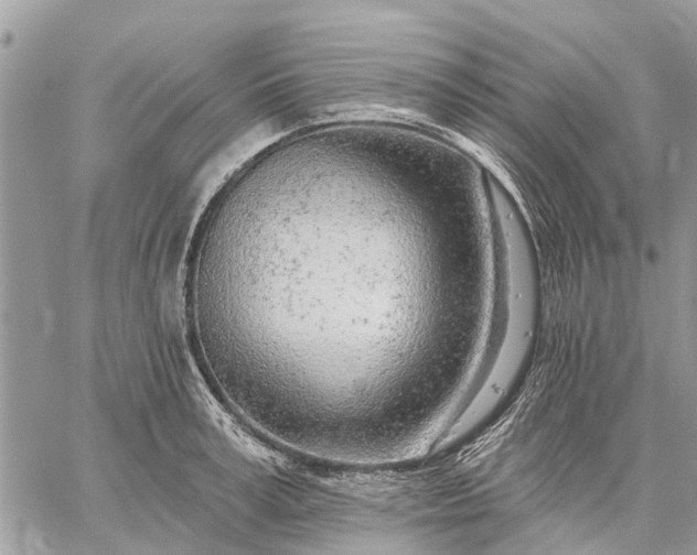 X0000059100995200510211628