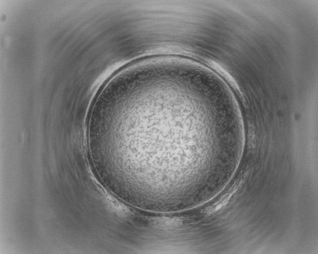 X0000059100996200510211628