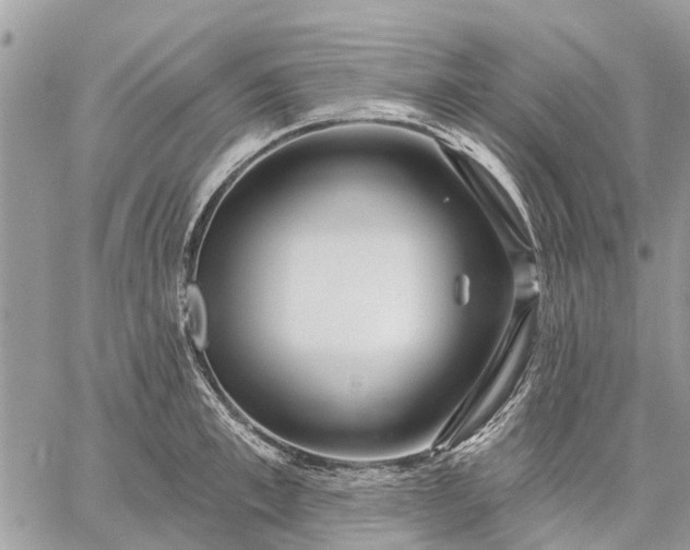 X0000059100997200510211628