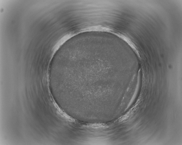 X0000059100998200510211628