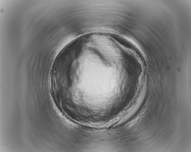 X0000059100999200510211628