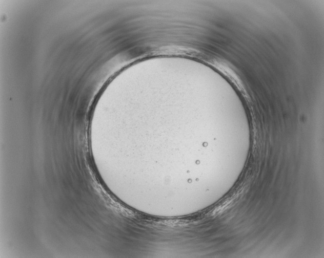 X0000059101000200510211628