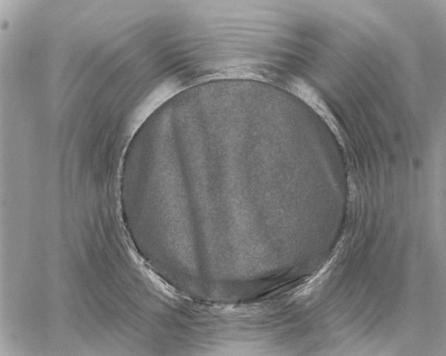 X0000059101002200510211628