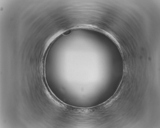 X0000059101003200510211628