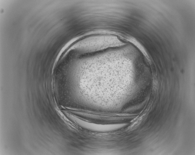 X0000059101004200510211628