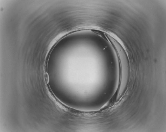 X0000059101005200510211628