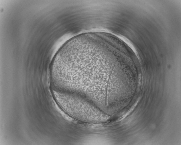 X0000059101006200510211628