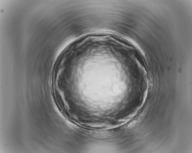 X0000059101007200510211628