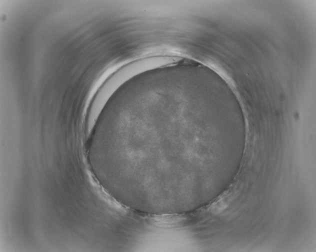 X0000059101008200510211627