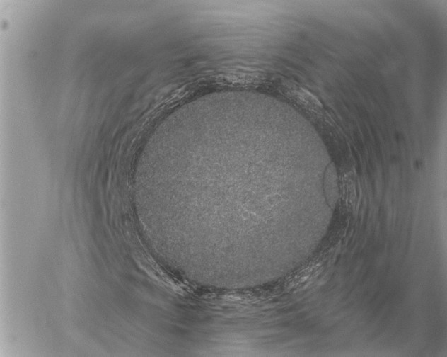 X0000059101009200510211627