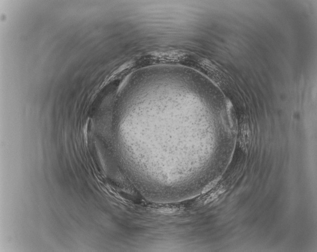 X0000059101010200510211627