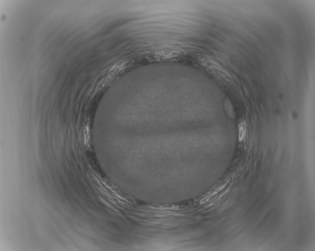 X0000059101011200510211627