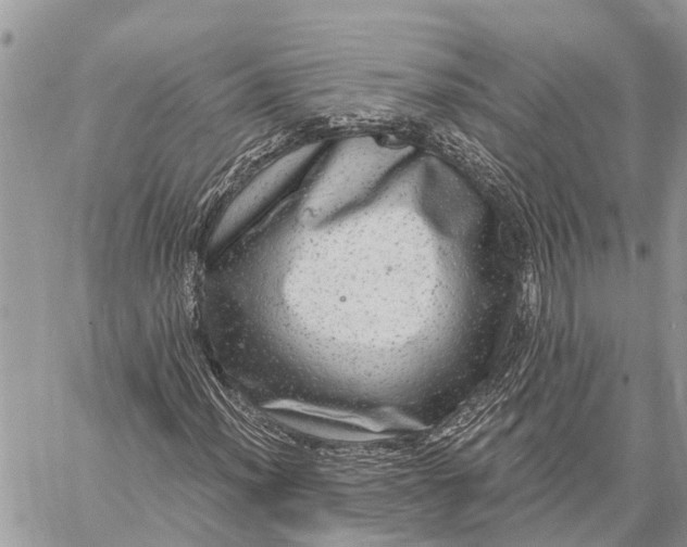 X0000059101012200510211627