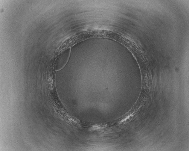 X0000059101013200510211627