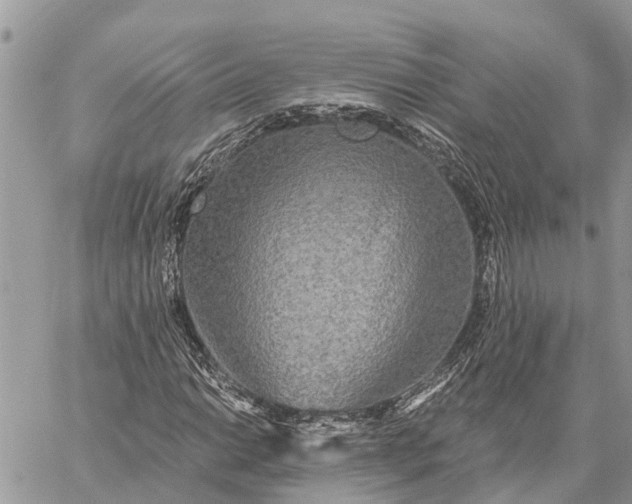 X0000059101014200510211627