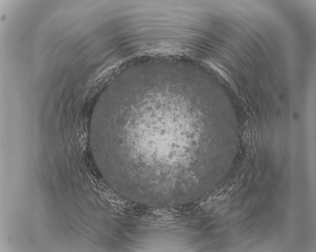 X0000059101015200510211627