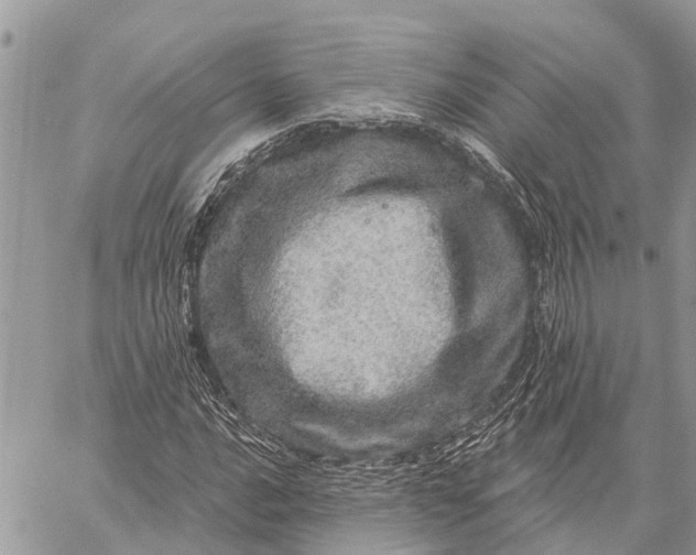 X0000059101016200510211627