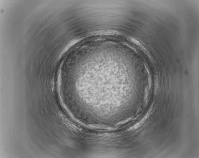 X0000059101017200510211627