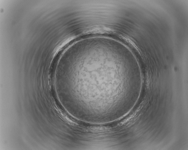 X0000059101018200510211627