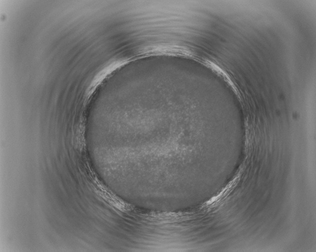 X0000059101019200510211627